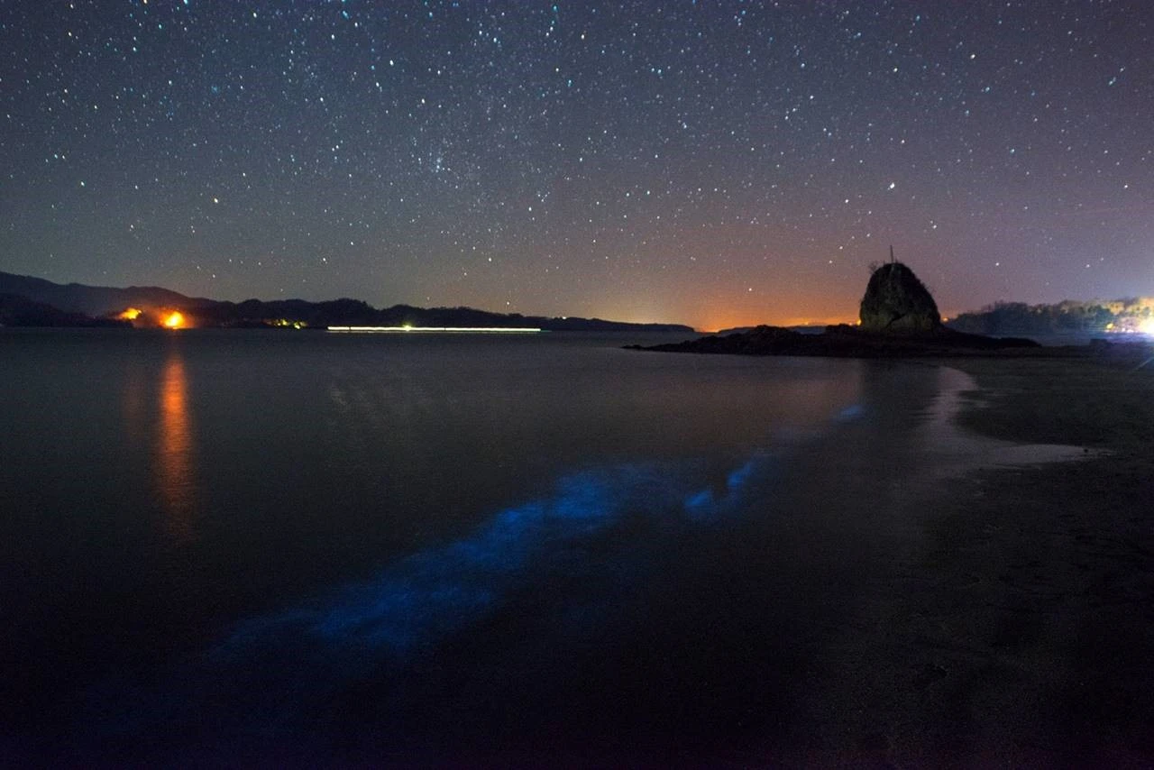 Paquera · Bioluminescence · Costa Rica