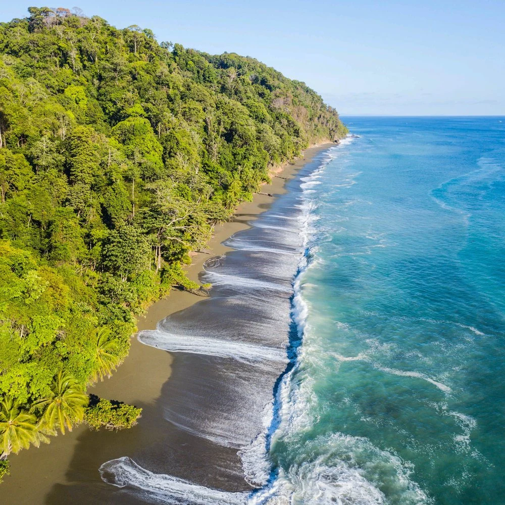 Corcovado · Osa Peninsula · Costa Rica