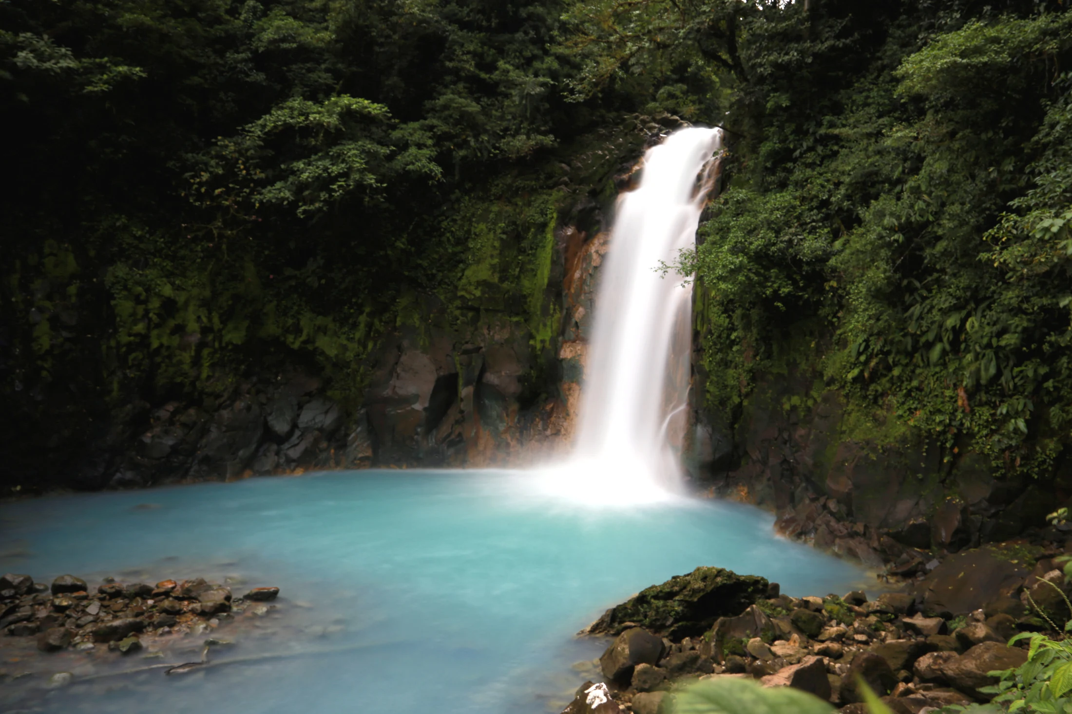 Where the Rainforest Turns Blue: Río Celeste